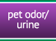 pet odor urine cleaning syracuse ny